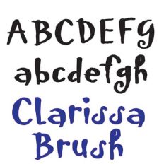 snf clarissa brush