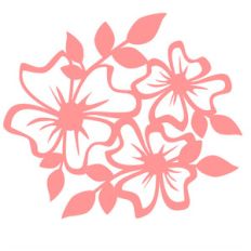spring flowers