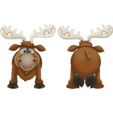 forest moose