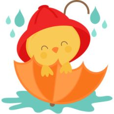 chick in umbrella