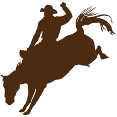 rodeo bronco rider