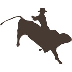 rodeo bull rider