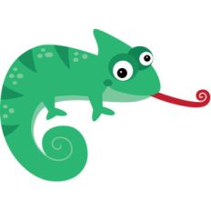 chameleon