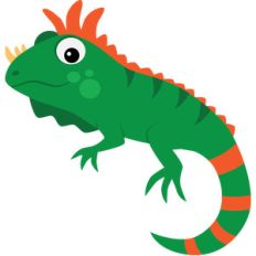 iguana