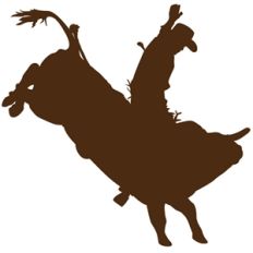 rodeo bull rider2