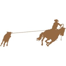 rodeo calf roping