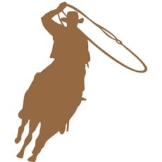 rodeo calf roping2