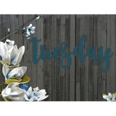 tuesday