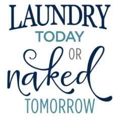 laundry today naked tomorrow phrase