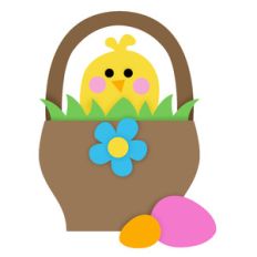 chick in basket