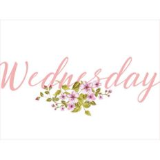 wednesday