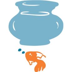 goldfish and bowl