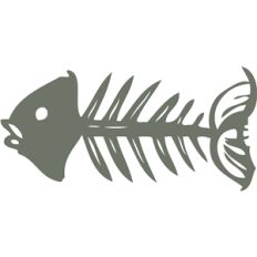 fish bones