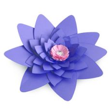 large starred flower