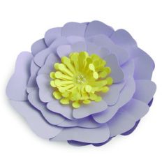 large wide petal flower
