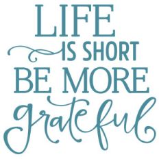 life is short be more grateful phrase