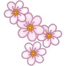 cherry blossoms
