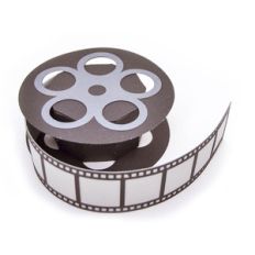 3d roll camcorder