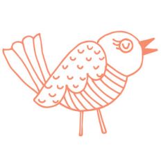 bird