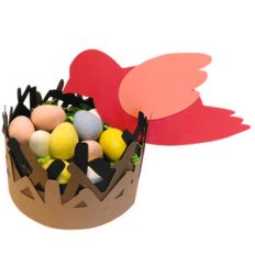 bird's nest