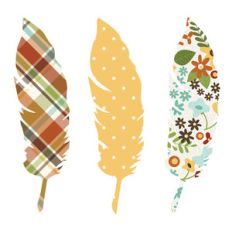 feathers