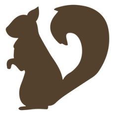 squirrel
