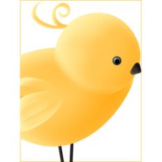big chick