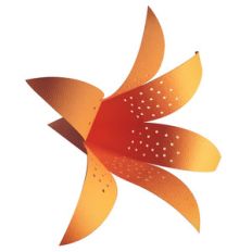 3d lily flower