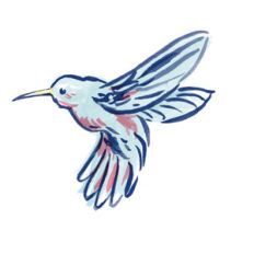 watercolor hummingbird