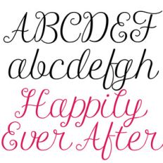 snf happily ever after