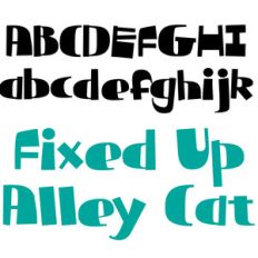 ld fixed up alley cat