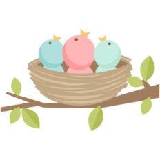 baby birds
