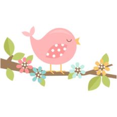 mommy bird