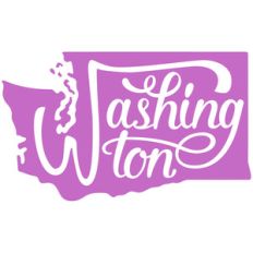 washington state script