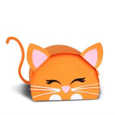 cat treat box