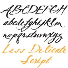 txt less delicate script