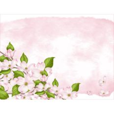 spring journal