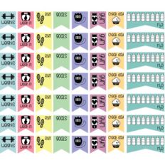 get fit planner flags