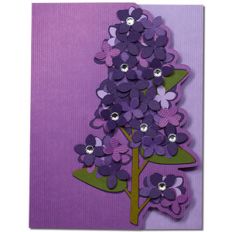 lilac card
