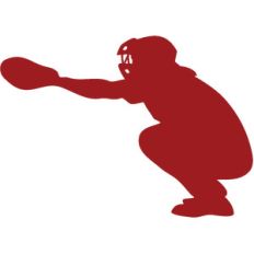 catcher silhouette