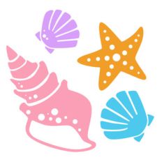 shells