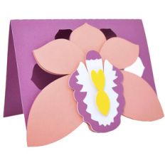 orchid card