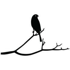 bird on a branch