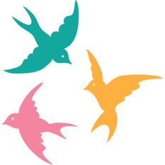 flying birds