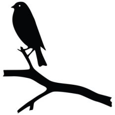 bird tree