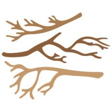 tree branches