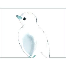 watercolor bird