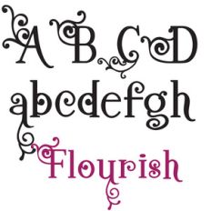 snf classy charm flourish