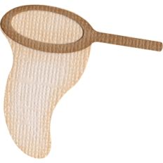 bug Net
