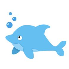 dolphin